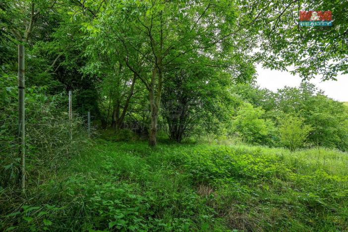 Prodej zahrady, Kokory, 463 m2