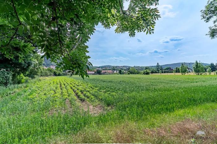 Prodej pozemku pro bydlení, Chodouň, 6761 m2