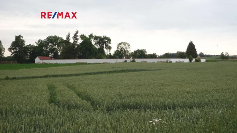 Prodej pozemku pro bydlení, Hořesedly, 985 m2