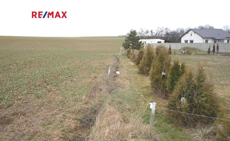 Prodej pozemku pro bydlení, Pavlíkov, 1187 m2