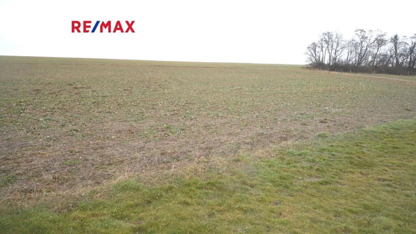 Prodej pozemku pro bydlení, Pavlíkov, 1187 m2