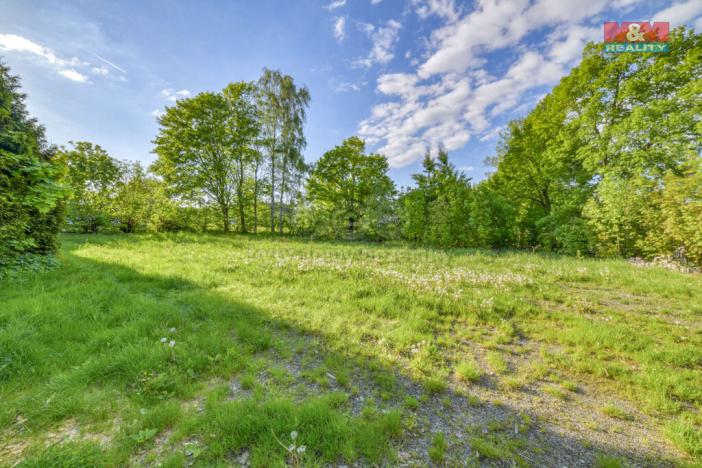 Prodej komerčního pozemku, Skalná, 1168 m2