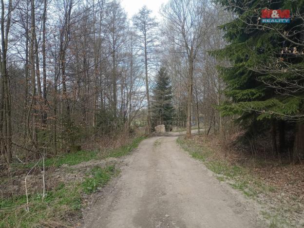 Prodej louky, Kořenov - Rejdice, 7967 m2