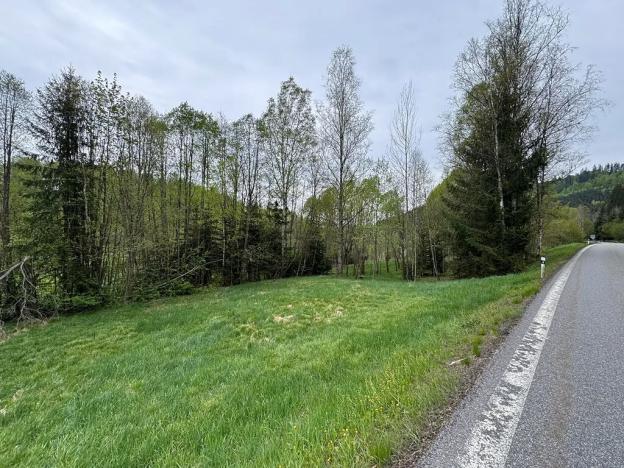 Prodej komerčního pozemku, Horní Vltavice, 14058 m2