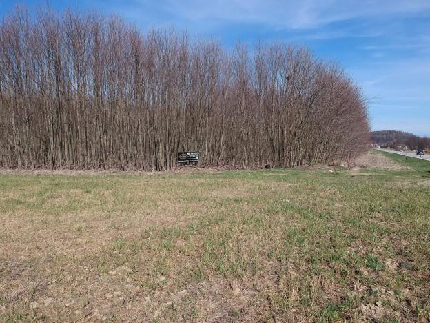 Prodej komerčního pozemku, Čkyně, 10200 m2