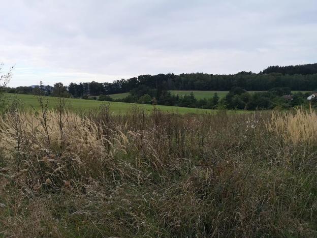 Prodej pozemku pro bydlení, Radomyšl, 850 m2