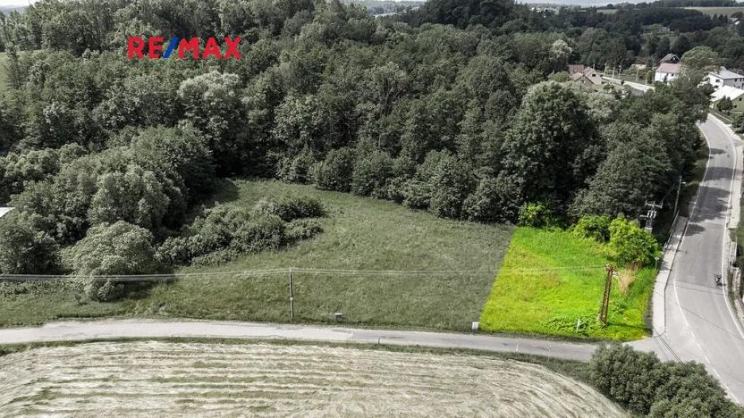 Prodej pozemku pro bydlení, Nový Bor, 1999 m2