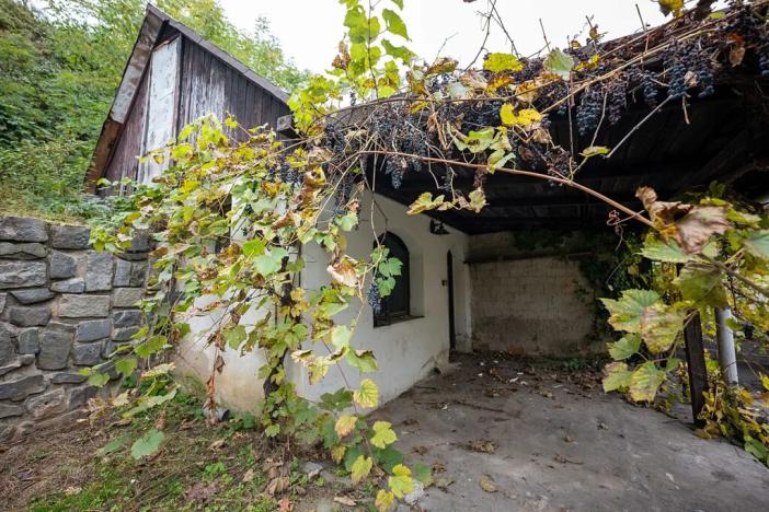 Prodej pozemku pro bydlení, Dolní Kounice, Ivančická, 874 m2