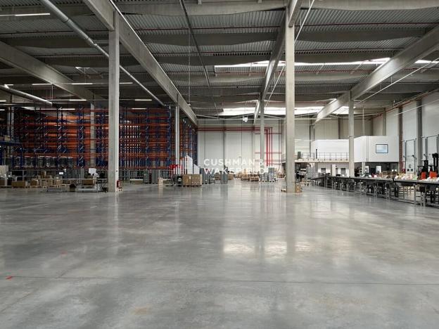 Prodej skladu, Nová Paka, 9000 m2