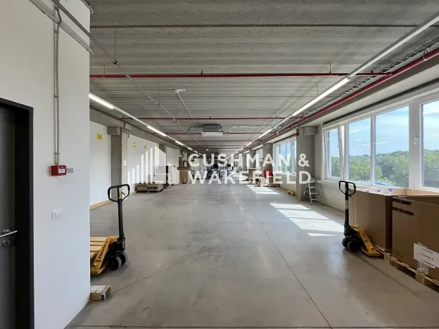 Prodej skladu, Nová Paka, 9000 m2