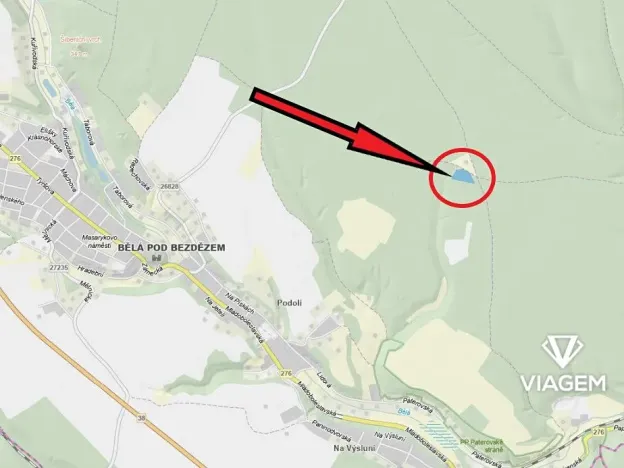 Prodej podílu lesa, Bělá pod Bezdězem, 1634 m2