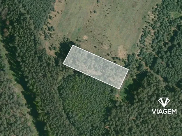 Prodej podílu lesa, Bělá pod Bezdězem, 824 m2