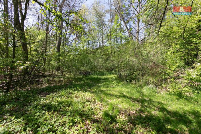 Prodej pozemku pro bydlení, Horšovský Týn - Plzeňské Předměstí, 1261 m2