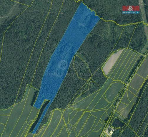 Prodej lesa, Suchdol nad Lužnicí - Klikov, 22334 m2