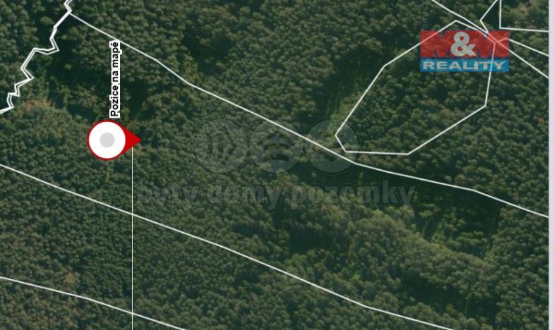 Prodej lesa, Suchdol nad Lužnicí - Klikov, 22334 m2