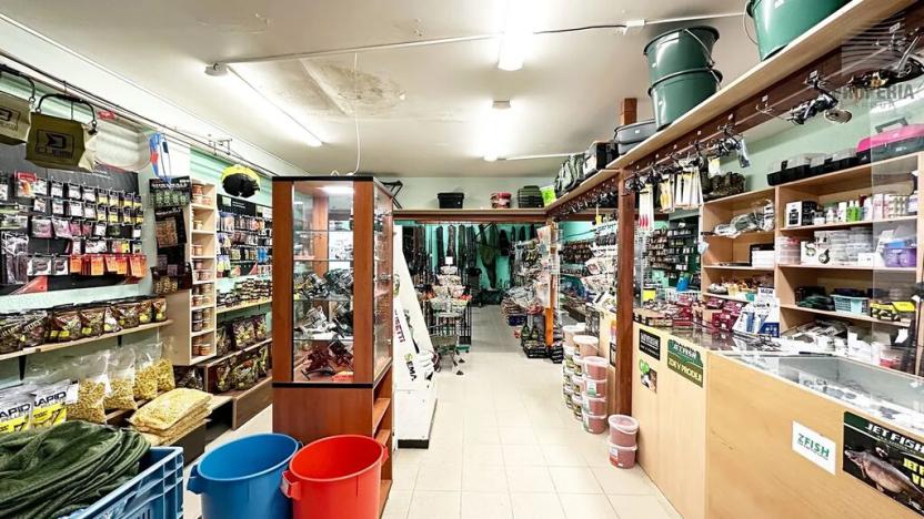 Prodej obchodního prostoru, Rousínov, Slavkovská, 280 m2