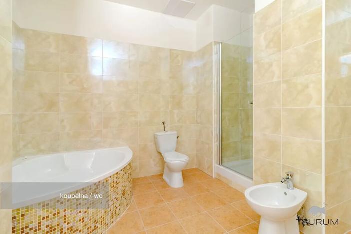 Prodej bytu 2+1, Janovice nad Úhlavou, Rozvojová zóna, 74 m2