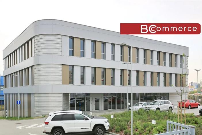 Pronájem obchodního prostoru, Brno, Polní, 460 m2