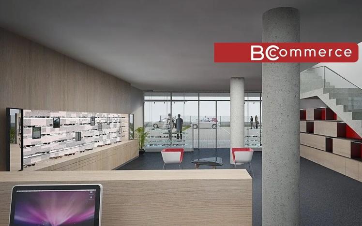 Pronájem obchodního prostoru, Brno, Polní, 460 m2