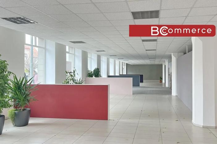 Pronájem obchodního prostoru, Brno, Zábrdovická, 530 m2