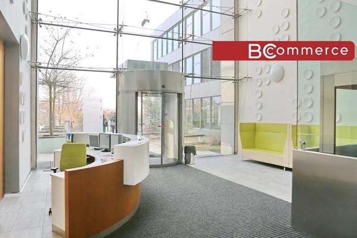 Pronájem kanceláře, Brno, 1000 m2