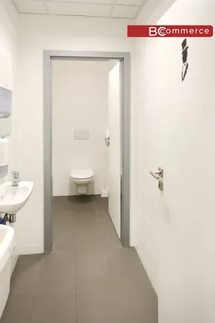 Pronájem kanceláře, Brno, Starobrněnská, 149 m2