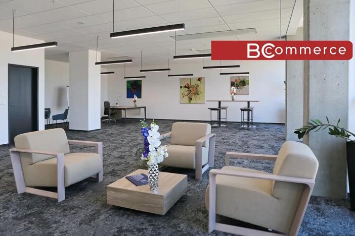 Pronájem kanceláře, Brno, 445 m2