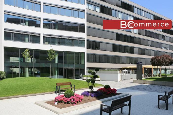 Pronájem kanceláře, Brno, 445 m2