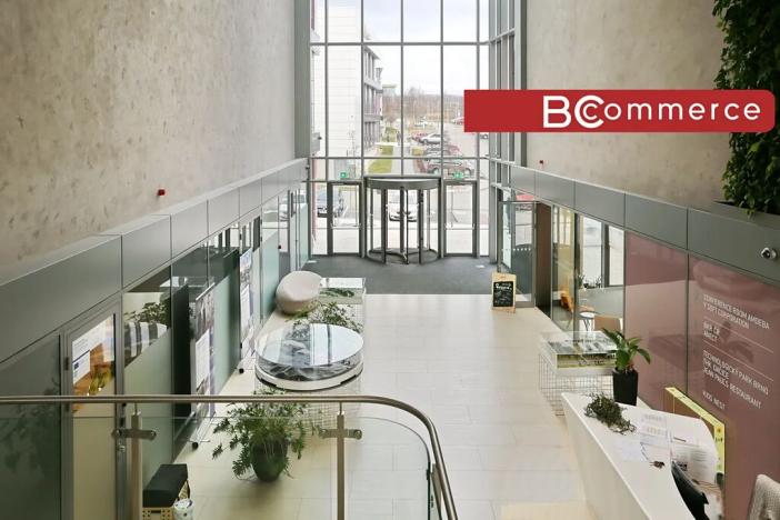 Pronájem kanceláře, Brno, 600 m2