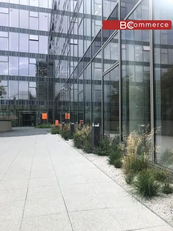 Pronájem kanceláře, Brno, 350 m2