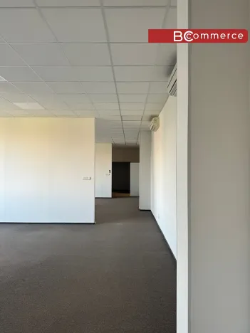 Pronájem kanceláře, Brno, Veveří, 253 m2