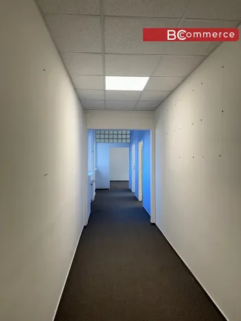Pronájem kanceláře, Brno, Veveří, 253 m2
