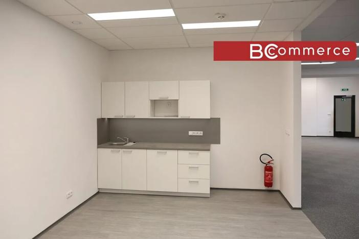 Pronájem kanceláře, Brno, Starobrněnská, 153 m2