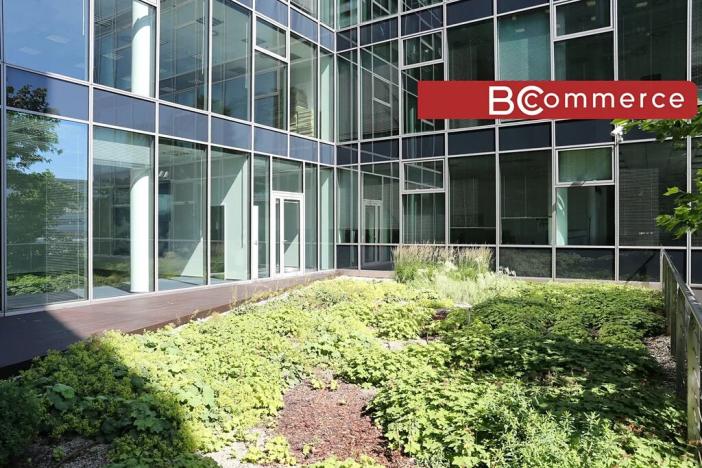 Pronájem kanceláře, Brno, 552 m2