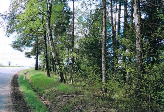 Prodej lesa, Nová Bystřice, 1241 m2