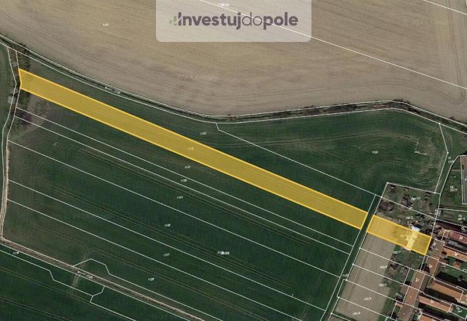 Prodej pole, Slepotice - Nové Holešovice, 589 m2