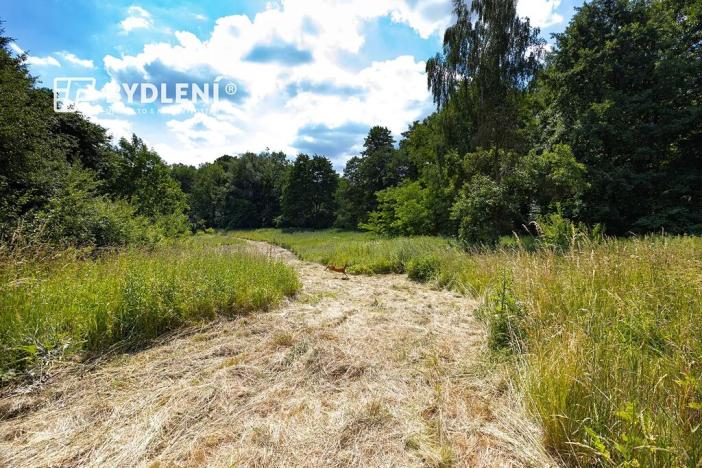 Prodej pozemku pro bydlení, Velemín, 5381 m2
