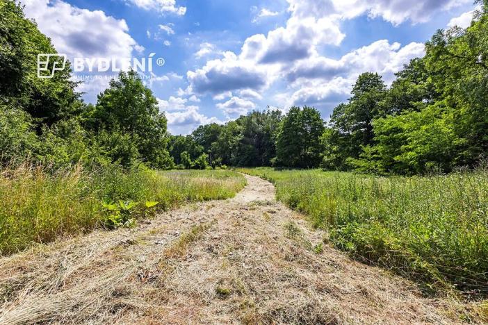 Prodej pozemku pro bydlení, Velemín, 5381 m2