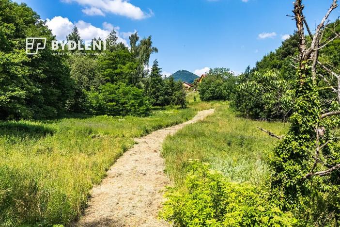 Prodej pozemku pro bydlení, Velemín, 5381 m2