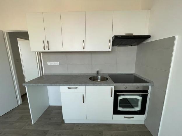 Pronájem bytu 1+1, Litvínov, U Bílého sloupu, 42 m2