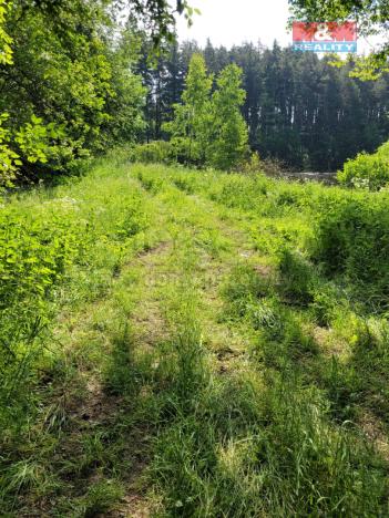 Prodej rybníku, Toužim - Luhov, 13432 m2