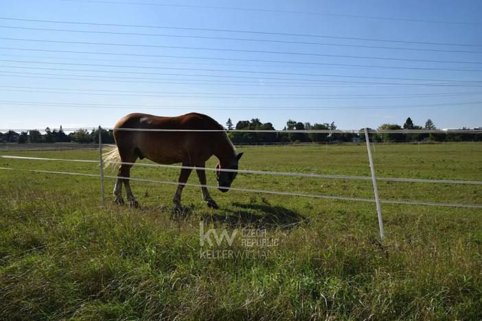 Prodej bytu 4+kk, Praha - Suchdol, Bažantní, 161 m2