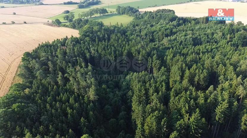 Prodej lesa, Tábor - Horky, 5139 m2