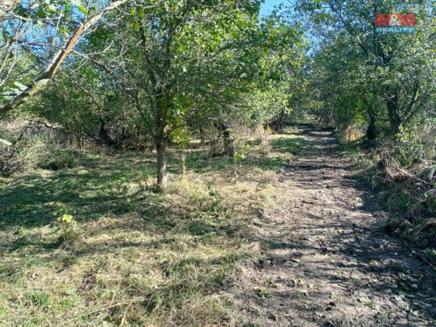 Prodej zahrady, Olomouc - Řepčín, 2804 m2