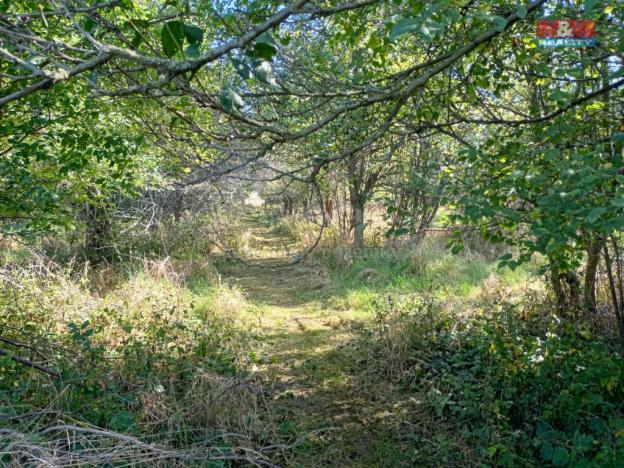 Prodej zahrady, Olomouc - Řepčín, 2804 m2