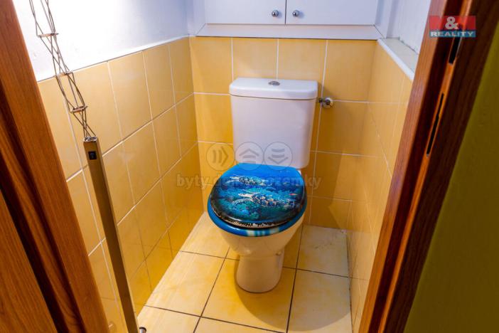 Prodej bytu 3+kk, Opava - Předměstí, Olomoucká, 63 m2