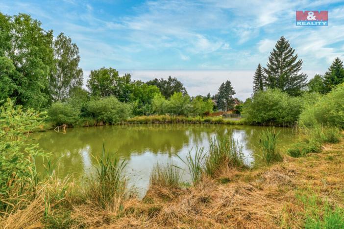 Prodej pozemku pro bydlení, Cheb - Bříza, 3217 m2