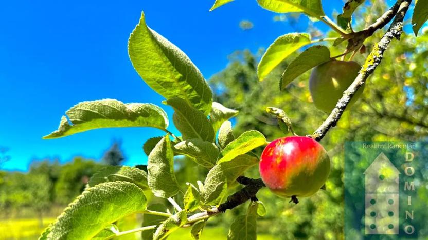 Prodej rodinného domu, Chropyně, Hrad, 250 m2