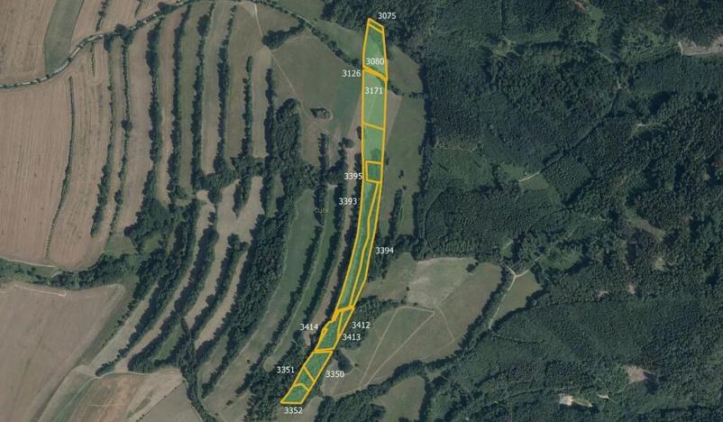 Prodej louky, Nový Malín, 47472 m2