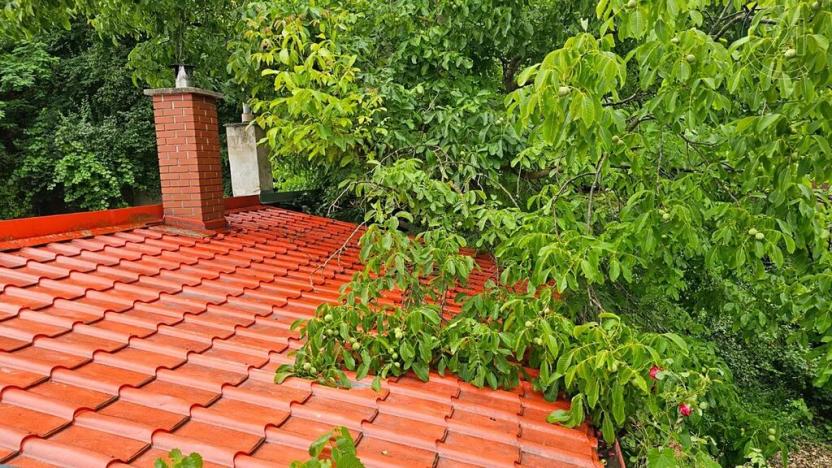 Prodej rodinného domu, Křepice, 183 m2